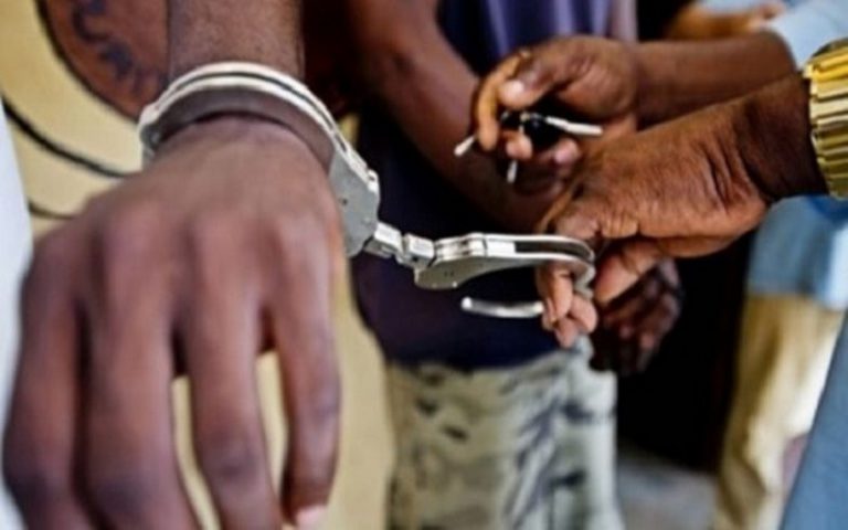 Douze pêcheurs et mareyeurs arrêtés au Sénégal pour violation du repos biologique sur le poulpe