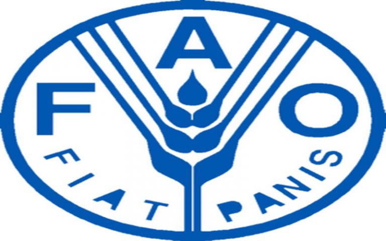 Pour la FAO, l’atteinte des ODD requiert une « approche intégrée »
