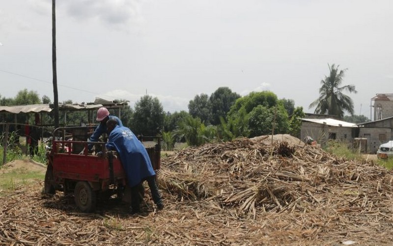 Kemit Ecology, une start-up de charbon bio au Cameroun attend ses investisseurs