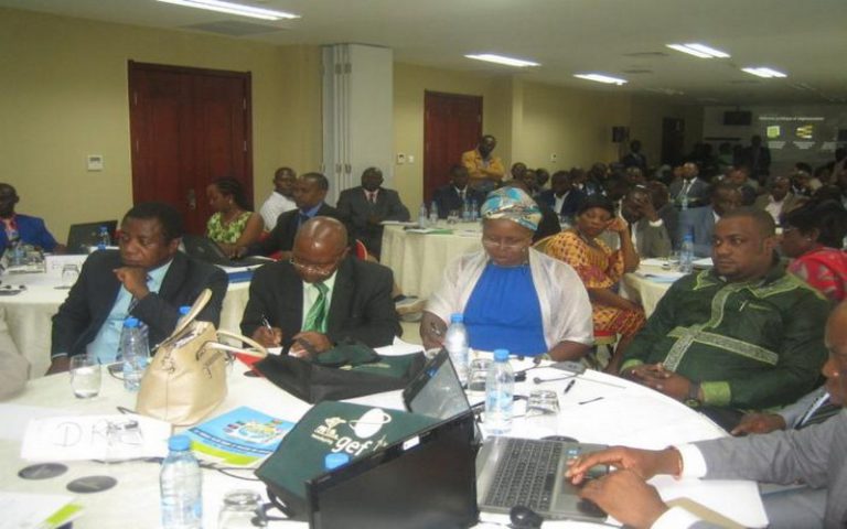 Les pays du Bassin du Congo harmonisent leurs politiques environnementales