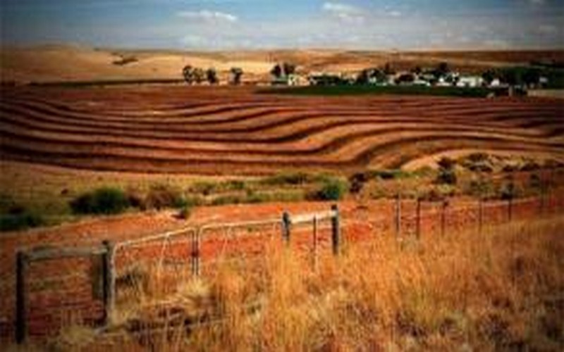 L’ANC a consacré son congrès à la réforme agraire en Afrique du Sud