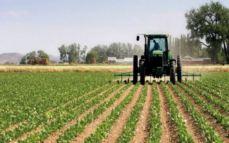 Une étude classe le Maroc dans le top 5 de champions de l’agriculture en Afrique