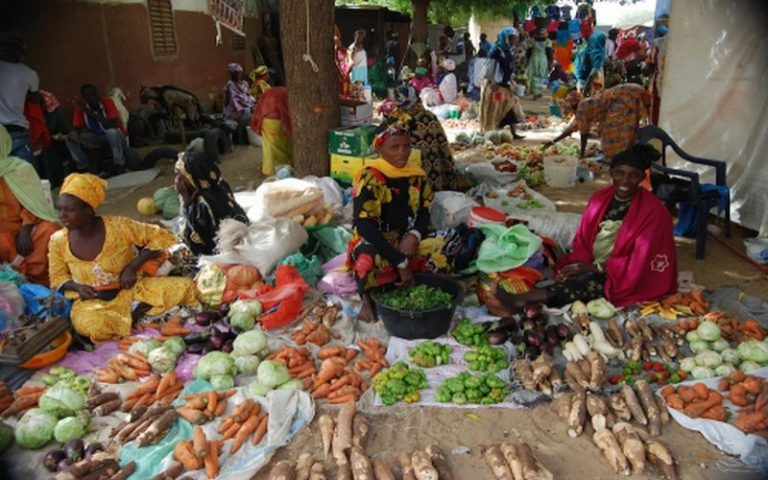 Le Sénégal a réduit de 50% son niveau de malnutrition, selon le rapport 2017 de l’IFPRI