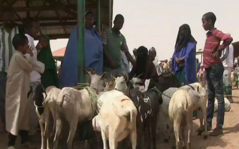 Le Somaliland sous le diktat de la sécheresse