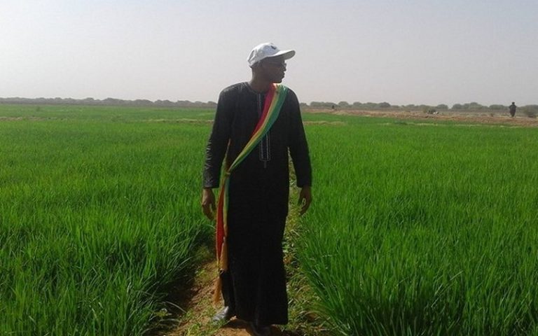 Nabadji Civol et Bokidiawé peuvent aider le Sénégal à atteindre l’autosuffisance alimentaire