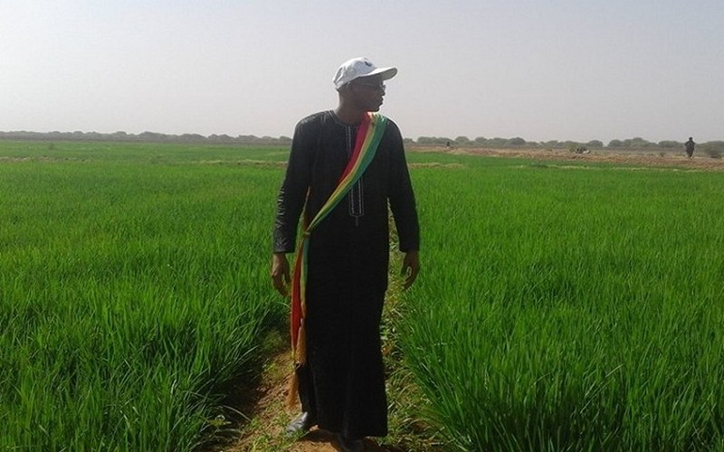 Nabadji Civol et Bokidiawé peuvent aider le Sénégal à atteindre l’autosuffisance alimentaire