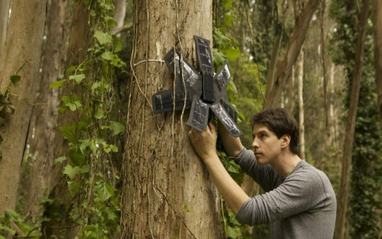 La Solution incroyable de Topher White de lutter contre la déforestation grâce aux téléphones portables