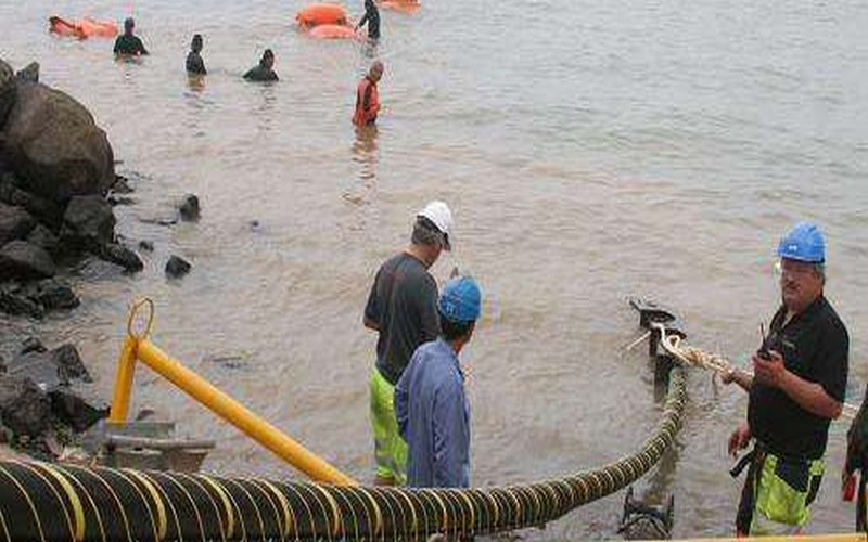 Une alliance des scientifiques pour contribuer au développement de l’agriculture en Afrique subsaharienne