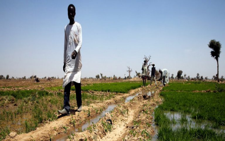 Le réchauffement de la planète menace l’agriculture africaine