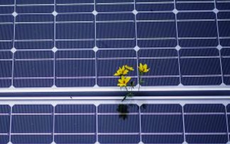 Le Maroc abrite le Green Africa Innovation Booster les 12 et 13 juillet 2017