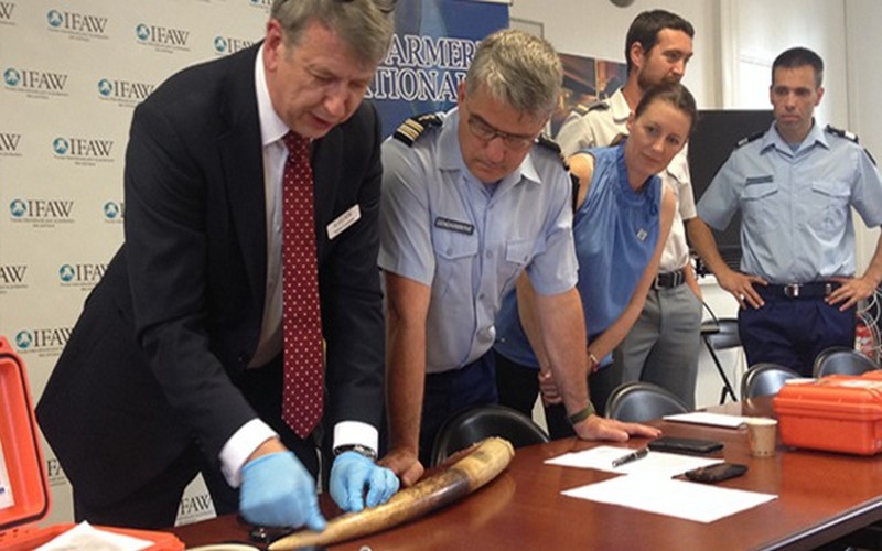 Le Sénégal dispose d’un nouveau produit pour pister les trafiquants d’ivoire