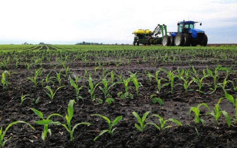 Quand Ouattara rêve de transformer l’agriculture pour en faire un moteur de croissance économique inclusive