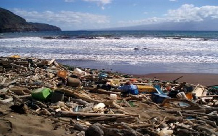 Des humains qui, par le biais de la pollution, tuent terre et mer