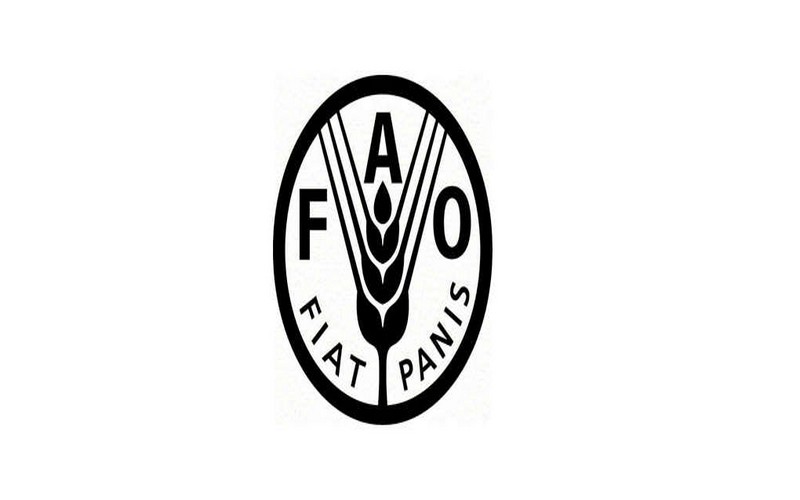 La FAO au chevet du Bénin pour un meilleur rapport sur les ODD