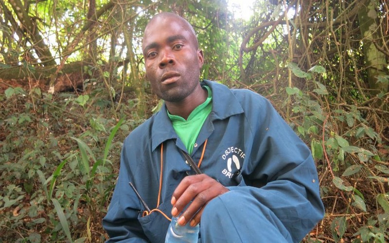 Jean-Paul Kambere, le protecteur des derniers gorilles des montagnes en RDC