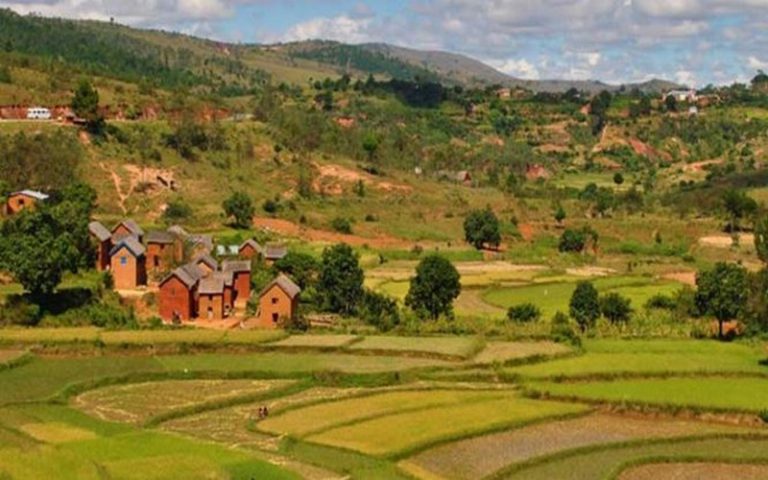 Le Collectif Tany malgache s’investit dans la défense des terres