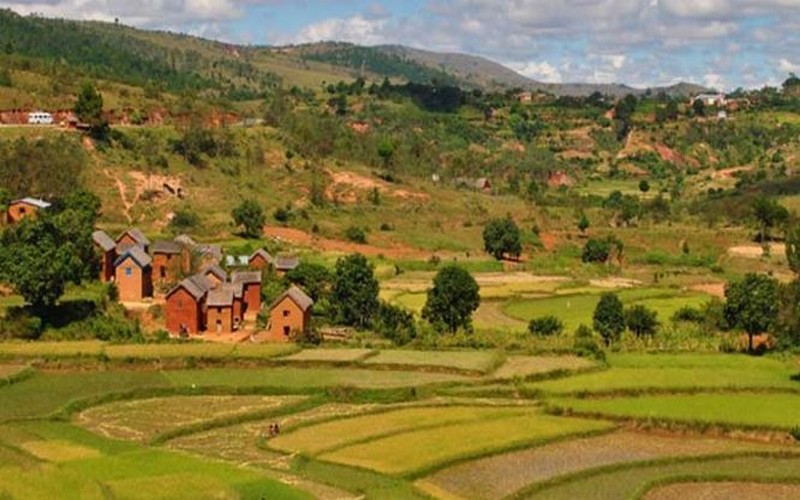 Le Collectif Tany malgache s’investit dans la défense des terres