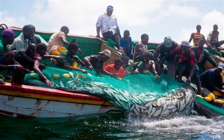 « La pêche génère près de 400 milliards de FCFA de revenus par an au Sénégal », dixit Mamadou Goudiaby