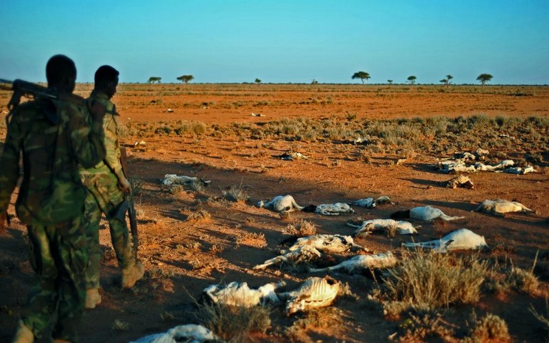 1,2 million de personnes sont touchées par la sécheresse en Tanzanie