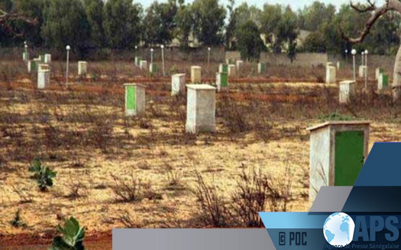 Sénégal : « plus de 50% des contentieux sont liés aux conflits fonciers », dixit le procureur de Ziguinchor