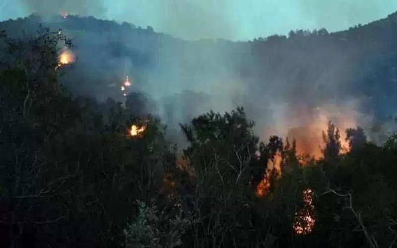 2.000 hectares partis en fumée dans une centaine de feux de forêt en Tunisie