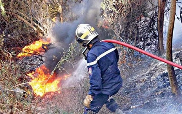 Algérie : des enjeux fonciers derrière les incendies à Béjaïa ?