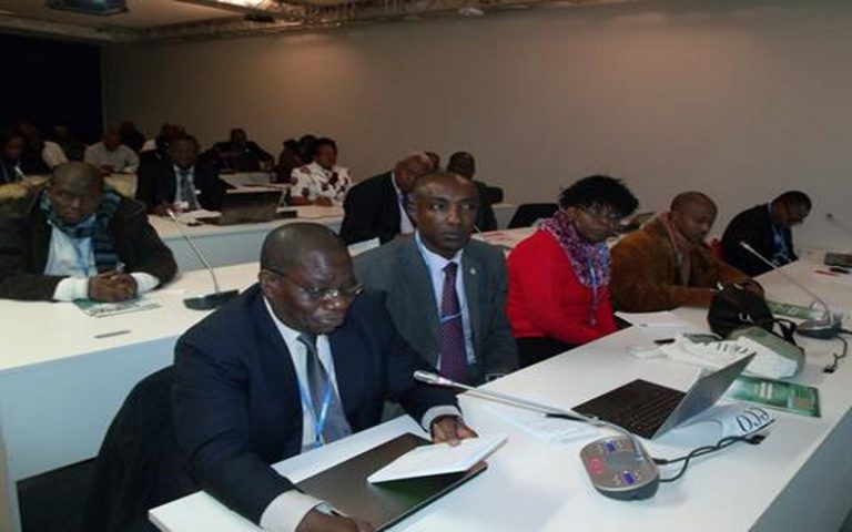 Les Etats membres de la COMIFAC se penchent à Brazzaville sur la stratégie commune à adopter lors de la COP23