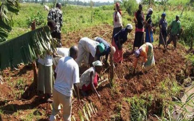 Le Kenya accorde un mécanisme de crédit aux petits agriculteurs