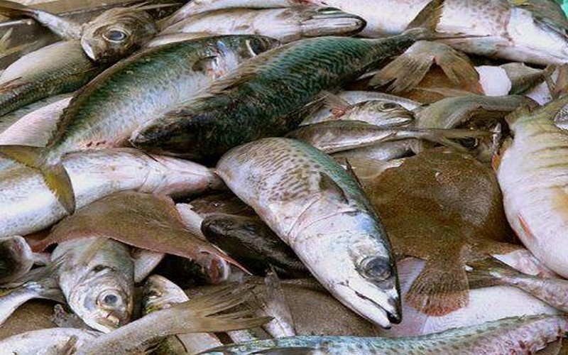 La Zambie interdit les importations d’espèces de poissons disponibles dans le pays