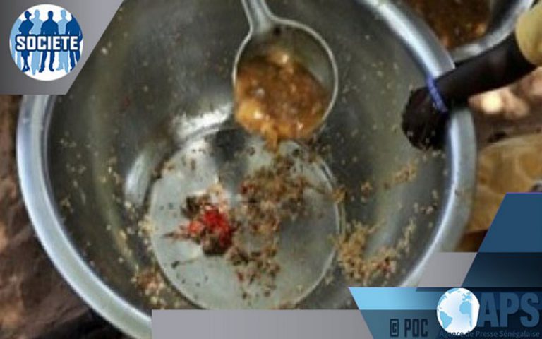 Sécurité alimentaire : le SECNSA classe six départements sénégalais dans la zone rouge