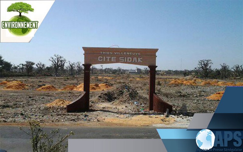 Sénégal : « Thiès est soumise à une forte pression qui menace son équilibre écologique », dixit Mbassa Sène