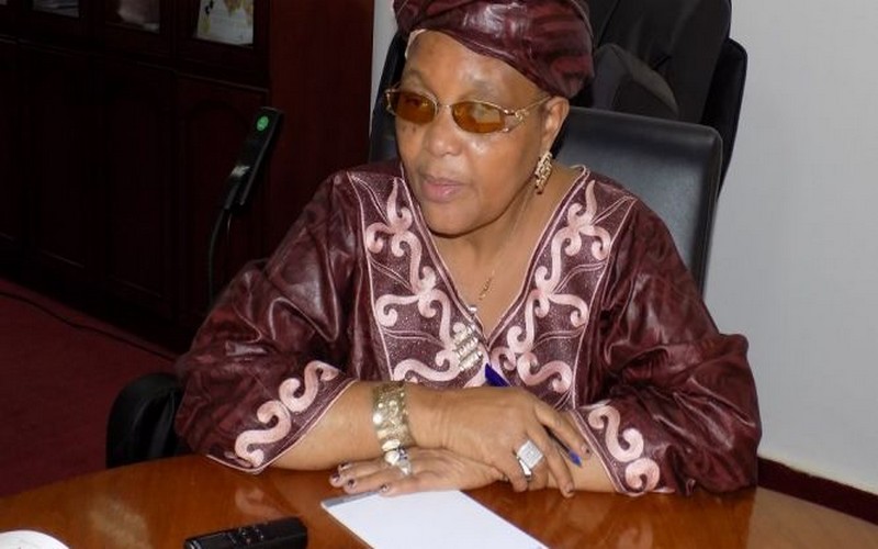 Le Conseil économique et social guinéen examine les enjeux du foncier urbain et rural