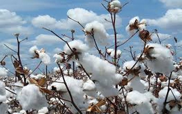 Bénin : 2,1 millions € de financement pour le secteur agricole