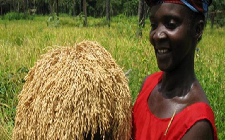 Afrique : La priorité à l’agriculture, clef de la croissance économique inclusive en Afrique, selon Kanayo Nwanze