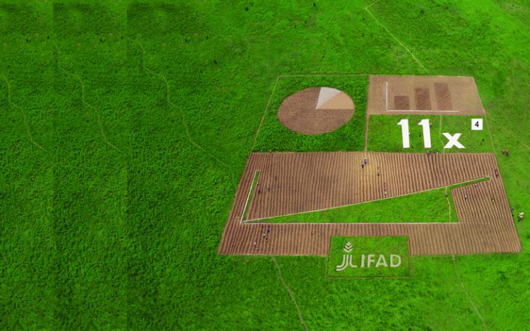 Investir dans l’agriculture, une solution pour mettre fin à la pauvreté et à la faim d’ici à 2030