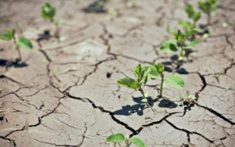L’ONG Action Aid plaide pour le renforcement des stratégies de durabilité de l’accès des producteurs à l’information climatique