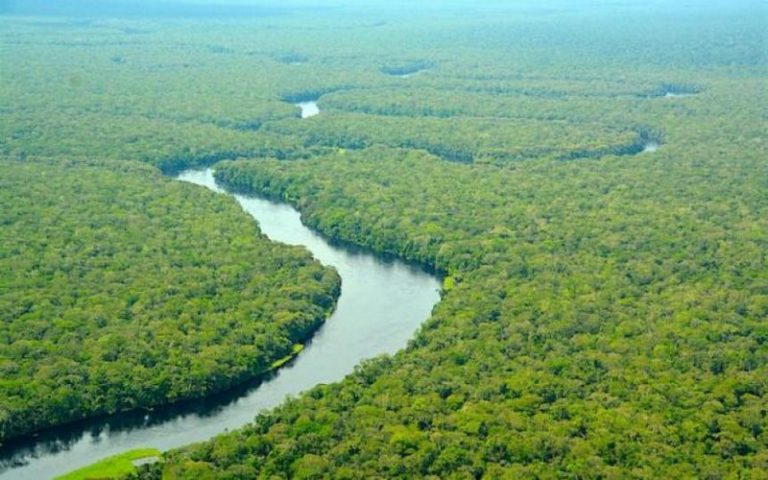 WWF déterminé pour la sauvegarde du Parc National de la Salonga en RDC