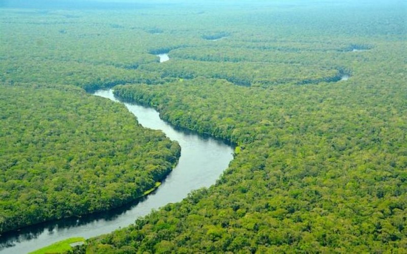 WWF déterminé pour la sauvegarde du Parc National de la Salonga en RDC