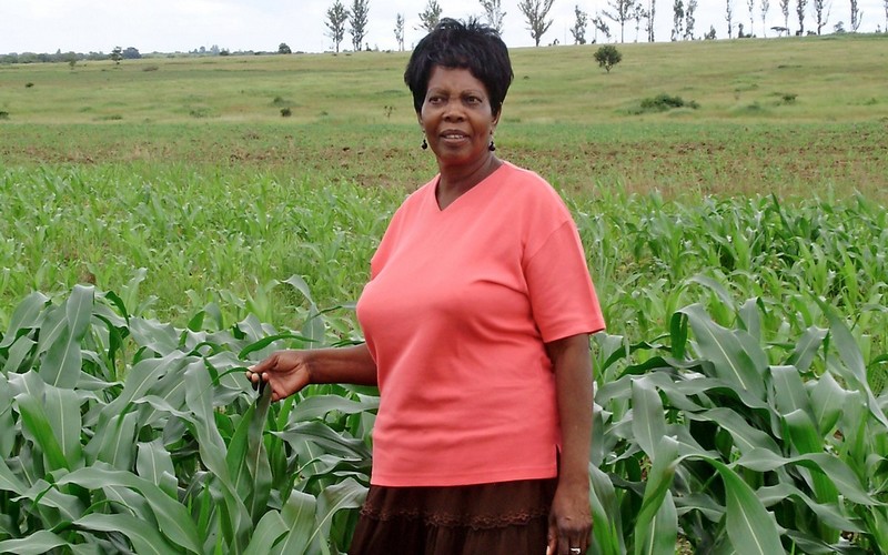 Résilience face aux changements climatiques : quel rôle pour les femmes en Afrique?