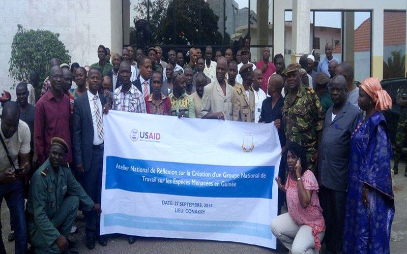 Gestion Forestière : Création d’un groupe national de travail sur les espèces menacées en Guinée