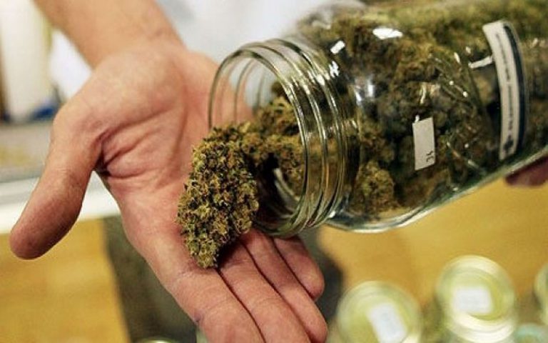 Culture du cannabis à usage thérapeutique en Afrique : l&rsquo;expérience du Lesotho