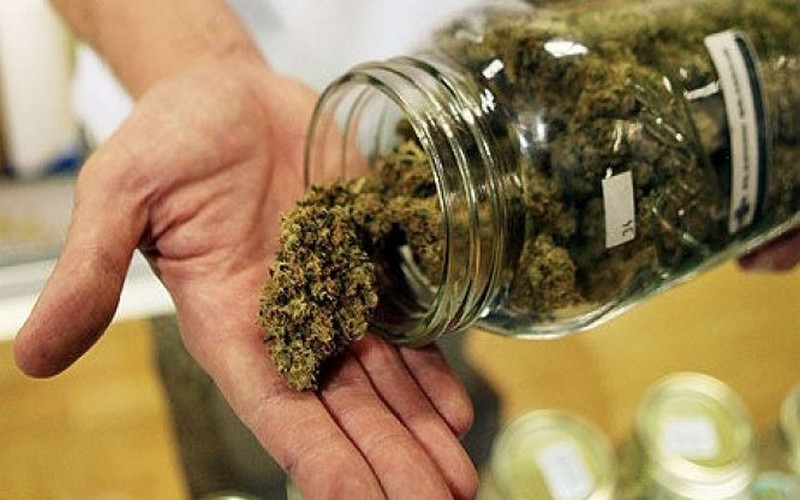 Culture du cannabis à usage thérapeutique en Afrique : l’expérience du Lesotho