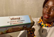 Et si une partie du chocolat consommé dans le monde provenait de forêts et de parcs protégés ivoiriens ?