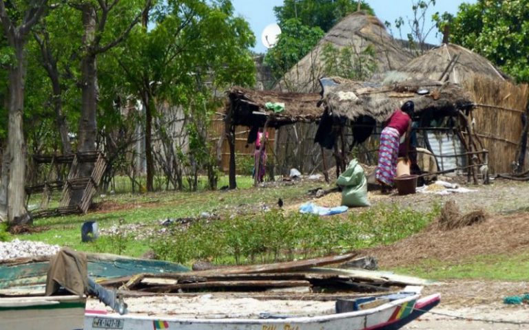 Long format : la bataille contre les feux de brousse dans le delta du Saloum, au Sénégal