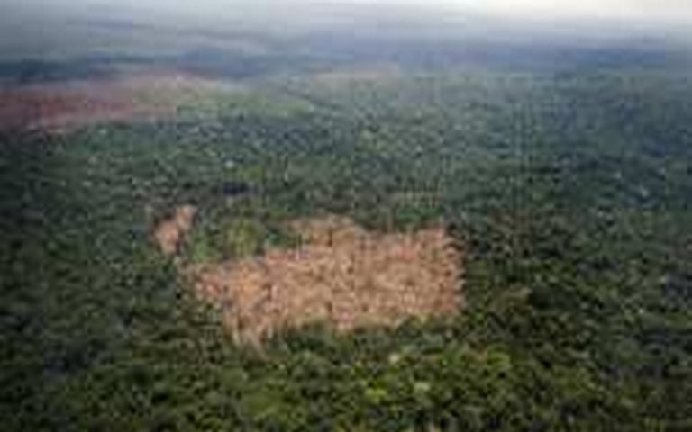 La déforestation contraint les forêts à libérer plus de CO2 qu’elles n’en capturent