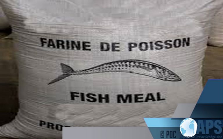 Les usines de production de farine de poisson invitées à s’inspirer des bonnes pratiques environnementales