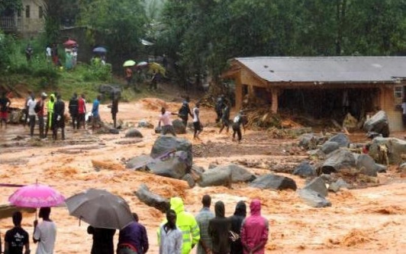 La Banque mondiale affecte un investissement de 500 millions $ au gouvernement sierra léonais