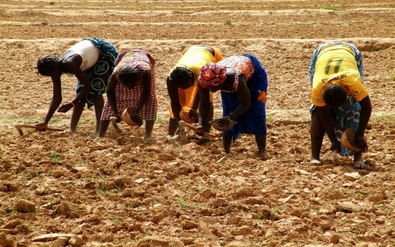 Les changements climatiques, sources d’instabilité de le l’agriculture africaine