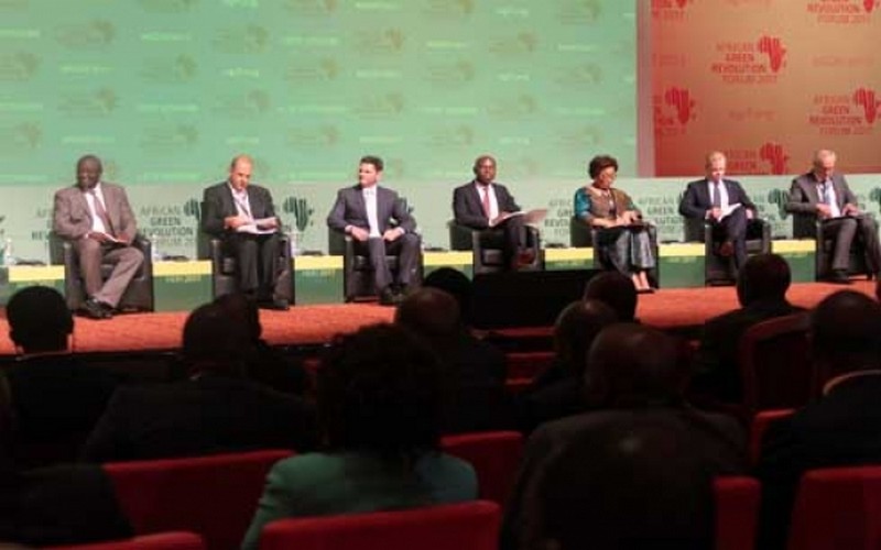 AGRF 2017 : les experts africains approuvent l’Initiative CocoaSoils