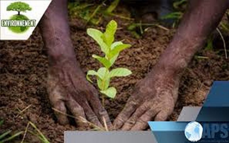 Louga (Sénégal) : Alioune Badara Mbengue initie l’opération « un fonctionnaire, un arbre » pour lutter contre la désertification